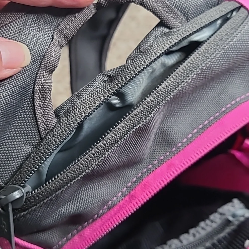 Dakine Charcoal and Fuchsia Backpack